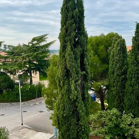 Apartament 